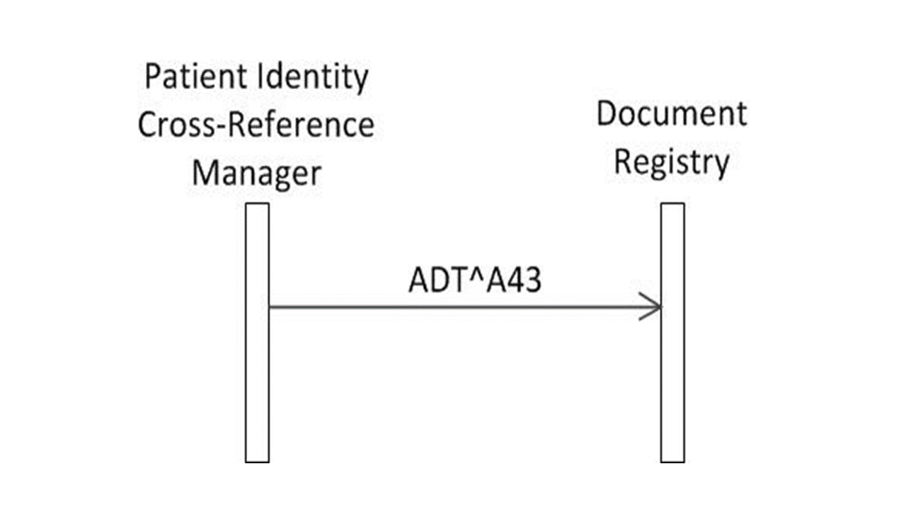XPID Diagram-11
